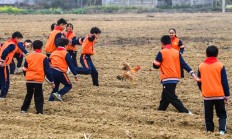 开云APP:追光丨起猛了，新学期体育课上居然可以抓鸡？！